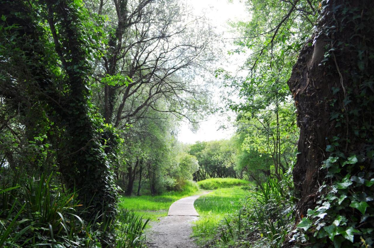 Camping Village Nature D'O Hillion Ngoại thất bức ảnh